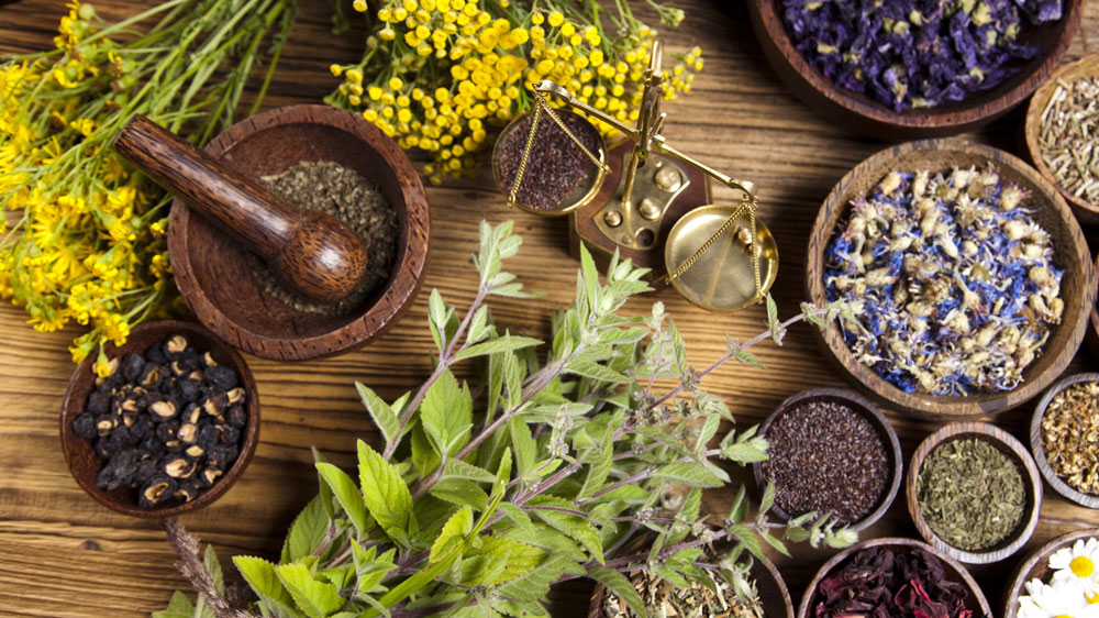 What are the Requirement to Start Ayurvedic Marketing Company 